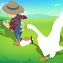 Crazy Goose Simulator Crazy Goose Simulator